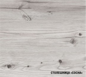 АСАЯ Кухонный гарнитур Экстра 2 (3000 мм) ПМ в Чебаркуле - chebarkul.ok-mebel.com | фото 8