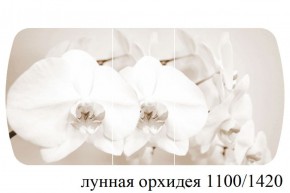 БОСТОН - 3 Стол раздвижной Лунная орхидея 1100/1420 опоры Триумф в Чебаркуле - chebarkul.ok-mebel.com | фото 3