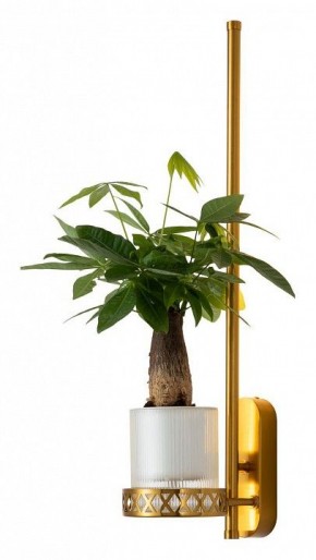 Бра Favourite Greenery 4050-1W в Чебаркуле - chebarkul.ok-mebel.com | фото 3