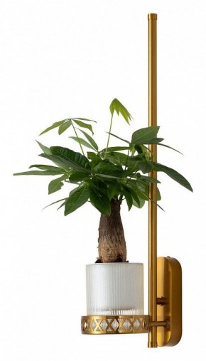 Бра Favourite Greenery 4050-1W в Чебаркуле - chebarkul.ok-mebel.com | фото 4