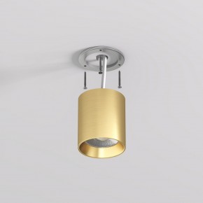 DK2610-SB Накладной светильник SHINE TUBE со светодиодом, D70*H80, IP20, 3000К, 10W, RA?90, сатинированная латунь, алюминий в Чебаркуле - chebarkul.ok-mebel.com | фото 3