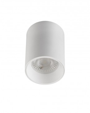 DK3110-WH Светильник накладной IP 20, 10 Вт, GU5.3, LED, белый, пластик в Чебаркуле - chebarkul.ok-mebel.com | фото