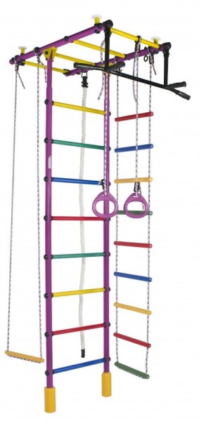 ДСК Атлант цв.фиолетовый радуга: турник, кольца, канат, трапеция, веревочная лестница в Чебаркуле - chebarkul.ok-mebel.com | фото