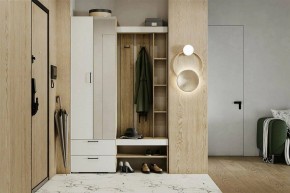 Гарнитур для прихожей Торонто в Чебаркуле - chebarkul.ok-mebel.com | фото 5