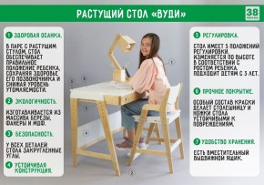 Комплект растущий стол и стул с чехлом 38 попугаев «Вуди» (Белый, Белый, Клетка) в Чебаркуле - chebarkul.ok-mebel.com | фото