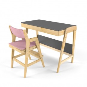 Комплект растущий стол и стул с чехлом 38 попугаев «Вуди» (Серый, Береза, Розовый) в Чебаркуле - chebarkul.ok-mebel.com | фото 1