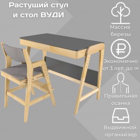 Комплект растущий стол и стул с чехлом 38 попугаев «Вуди» (Серый, Без покрытия, Серый) в Чебаркуле - chebarkul.ok-mebel.com | фото
