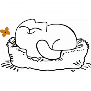 Кровать двухуровневая Кот № 900.1 ЛЕВАЯ (туя светлая/белый) в Чебаркуле - chebarkul.ok-mebel.com | фото 2