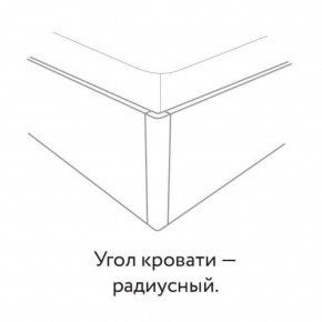 Кровать "Милана" БЕЗ основания 1600х2000 в Чебаркуле - chebarkul.ok-mebel.com | фото 3