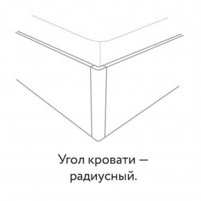Кровать "Сандра" БЕЗ основания 1200х2000 в Чебаркуле - chebarkul.ok-mebel.com | фото 3