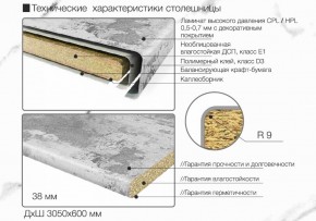 Кухонный фартук со столешницей (А-011) в едином стиле (3050 мм) в Чебаркуле - chebarkul.ok-mebel.com | фото 6