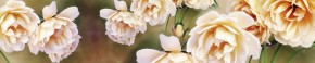 Кухонный фартук Цветы 066 МДФ матовый (3000) Flowers в Чебаркуле - chebarkul.ok-mebel.com | фото 1