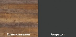 Кухонный гарнитур угловой Трансильвания 2600х1600 мм (Стол. 38 мм) в Чебаркуле - chebarkul.ok-mebel.com | фото 3