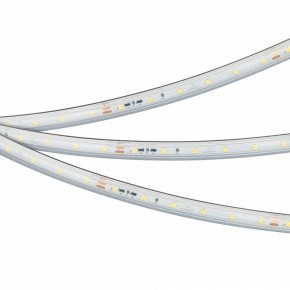 Лента светодиодная Arlight IC-PS-A60-10mm 24V 050656 в Чебаркуле - chebarkul.ok-mebel.com | фото