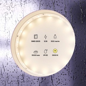 Лента светодиодная Maytoni Led strip 10105 в Чебаркуле - chebarkul.ok-mebel.com | фото 2