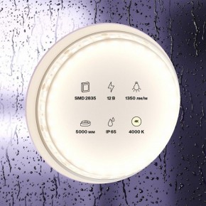 Лента светодиодная Maytoni Led strip 10118 в Чебаркуле - chebarkul.ok-mebel.com | фото 2