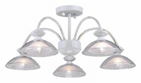 Люстра на штанге Arti Lampadari Noventa Noventa E 1.1.5 W в Чебаркуле - chebarkul.ok-mebel.com | фото