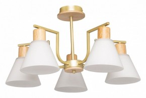 Люстра на штанге De City Дэла 45 635016505 в Чебаркуле - chebarkul.ok-mebel.com | фото