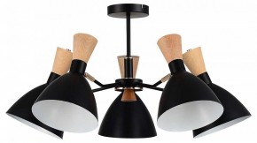 Люстра на штанге EVOLUCE VISTA SLE1256-402-05 в Чебаркуле - chebarkul.ok-mebel.com | фото