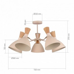 Люстра на штанге EVOLUCE VISTA SLE1256-502-05 в Чебаркуле - chebarkul.ok-mebel.com | фото 8