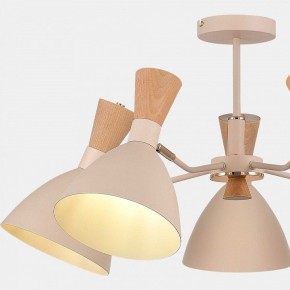 Люстра на штанге EVOLUCE VISTA SLE1256-502-05 в Чебаркуле - chebarkul.ok-mebel.com | фото 9