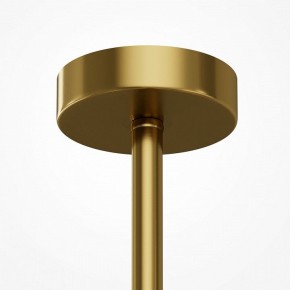 Люстра на штанге Maytoni Museo MOD436PL-07BS в Чебаркуле - chebarkul.ok-mebel.com | фото 5