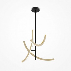 Люстра на штанге Maytoni Wabi MOD428PL-L27BK в Чебаркуле - chebarkul.ok-mebel.com | фото 5