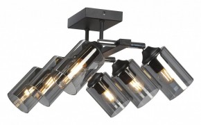 Люстра на штанге Vitaluce V2833 V2833-1/6PL в Чебаркуле - chebarkul.ok-mebel.com | фото