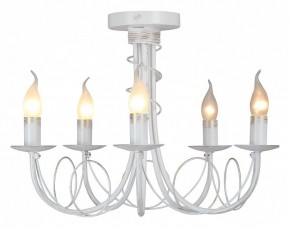 Люстра на штанге Vitaluce V3035 V3035-0/5PL в Чебаркуле - chebarkul.ok-mebel.com | фото 2