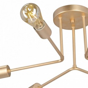 Люстра на штанге Vitaluce V3071 V3071-8/6PL в Чебаркуле - chebarkul.ok-mebel.com | фото 6