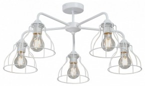 Люстра на штанге Vitaluce V3102 V3102-0/5PL в Чебаркуле - chebarkul.ok-mebel.com | фото