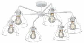 Люстра на штанге Vitaluce V3102 V3102-0/6PL в Чебаркуле - chebarkul.ok-mebel.com | фото