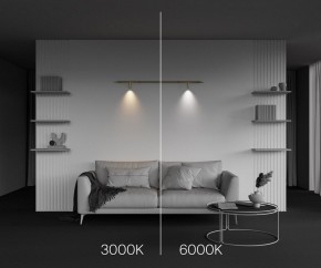 Модульный светильник Maytoni Focus LED C102CL-3W3-6K-BS в Чебаркуле - chebarkul.ok-mebel.com | фото 4