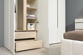 Муссон Шкаф двухстворчатый 13.198 в Чебаркуле - chebarkul.ok-mebel.com | фото 3