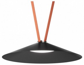 Накладной светильник Denkirs Belty Flow DK5568-BK в Чебаркуле - chebarkul.ok-mebel.com | фото 2