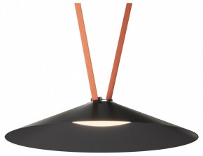 Накладной светильник Denkirs Belty Flow DK5569-BK в Чебаркуле - chebarkul.ok-mebel.com | фото 2