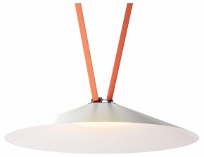 Накладной светильник Denkirs Belty Flow DK5569-WH+BK в Чебаркуле - chebarkul.ok-mebel.com | фото
