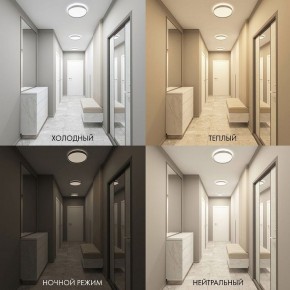 Накладной светильник Denkirs PLATO DK6511-WH в Чебаркуле - chebarkul.ok-mebel.com | фото 3