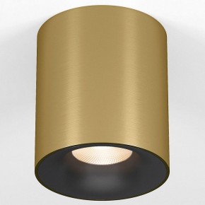 Накладной светильник Elektrostandard Primo 25116/LED в Чебаркуле - chebarkul.ok-mebel.com | фото
