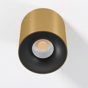 Накладной светильник Elektrostandard Primo 25116/LED в Чебаркуле - chebarkul.ok-mebel.com | фото