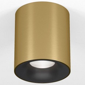 Накладной светильник Elektrostandard Primo 25116/LED в Чебаркуле - chebarkul.ok-mebel.com | фото 2