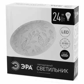 Накладной светильник Эра Классик SPB-6-24-4K (C) в Чебаркуле - chebarkul.ok-mebel.com | фото 4