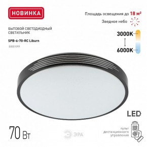 Накладной светильник Эра Классик SPB-6-70-RC Liburn в Чебаркуле - chebarkul.ok-mebel.com | фото 10