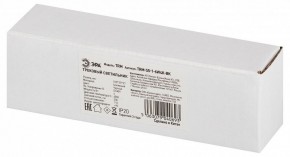Накладной светильник Эра  TRM-S5-1-6W4K-BK в Чебаркуле - chebarkul.ok-mebel.com | фото 6