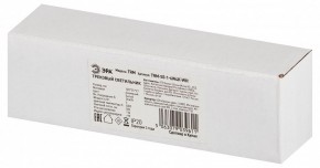 Накладной светильник Эра  TRM-S5-1-6W4K-WH в Чебаркуле - chebarkul.ok-mebel.com | фото 6