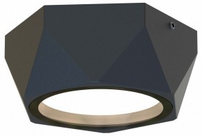 Накладной светильник Favourite Fantum 4670-1U в Чебаркуле - chebarkul.ok-mebel.com | фото