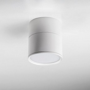 Накладной светильник Lightstar Acuto 215886 в Чебаркуле - chebarkul.ok-mebel.com | фото 3