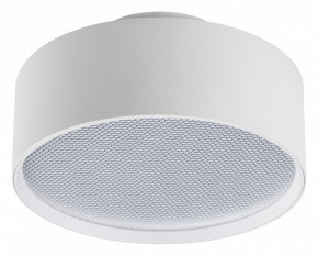 Накладной светильник Lightstar Acuto 215936 в Чебаркуле - chebarkul.ok-mebel.com | фото
