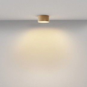 Накладной светильник Maytoni Zon C032CL-12W2.7K-RD-MG в Чебаркуле - chebarkul.ok-mebel.com | фото 4