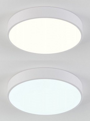 Накладной светильник Natali Kovaltseva  LED LAMPS 81111/5C в Чебаркуле - chebarkul.ok-mebel.com | фото 4